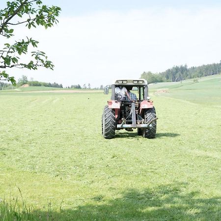 Biohof Mayerhofer Grossmeinharts Esterno foto