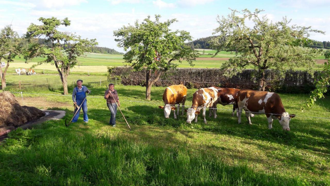 Biohof Mayerhofer Grossmeinharts Esterno foto